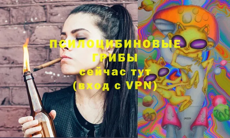 Псилоцибиновые грибы Psilocybe  Михайлов 